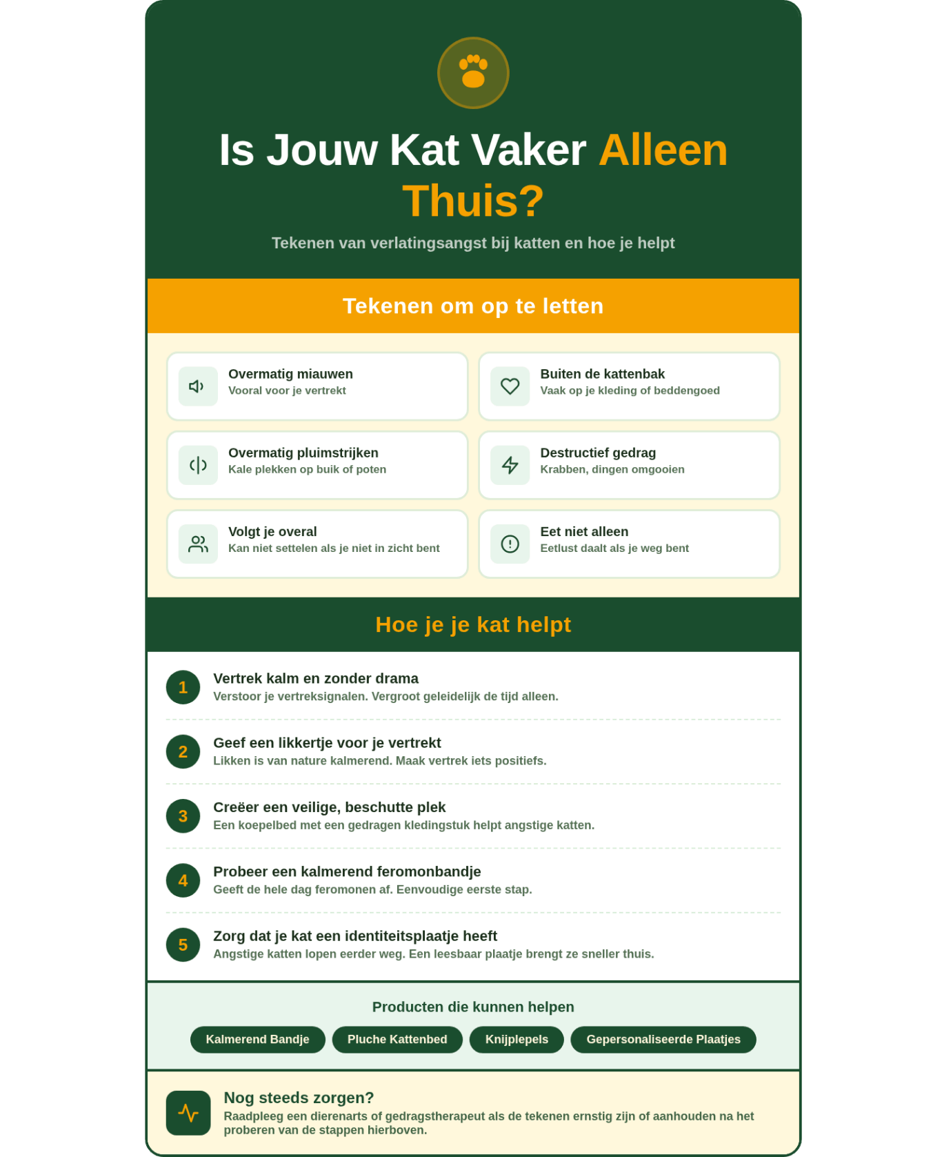 Overzicht van de signalen van verlatingsangst bij katten en wat je kunt doen.